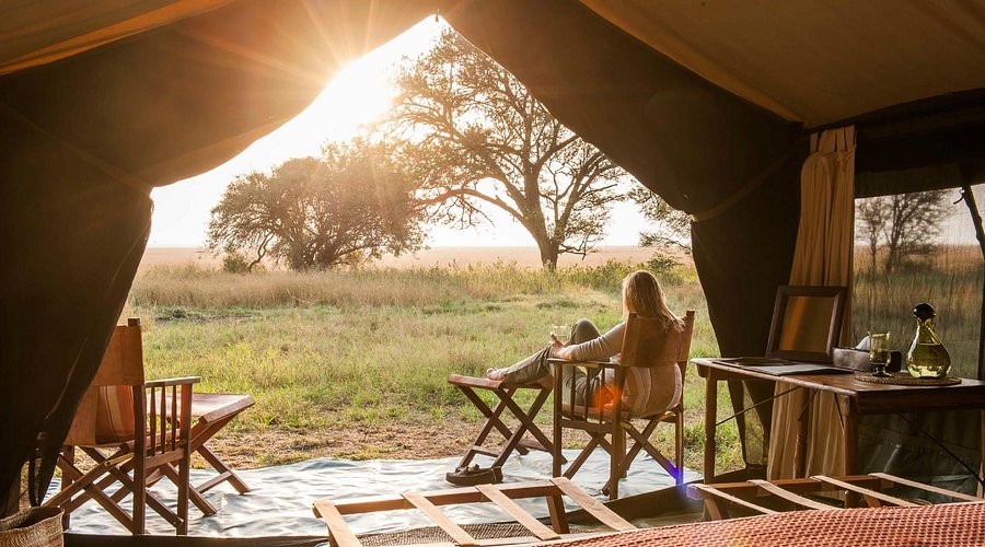 Serengeti camp
